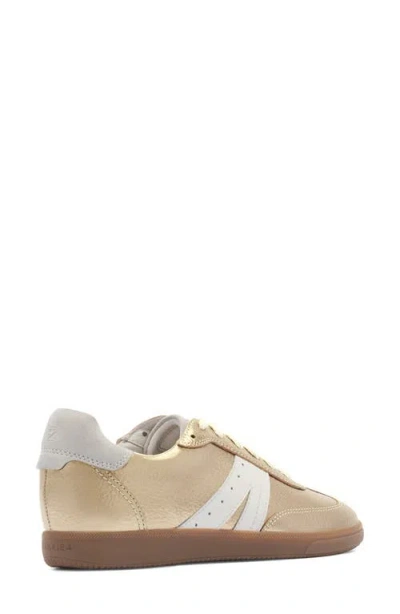 Frankie4 Levi Sneaker In Multi