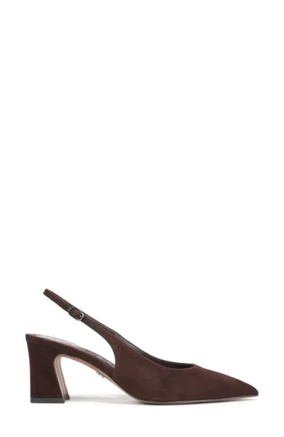 Sam Edelman Winfred Pointed Toe Slingback Sandal In Brown