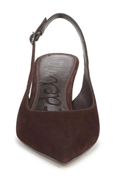 Sam Edelman Winfred Pointed Toe Slingback Sandal In Brown