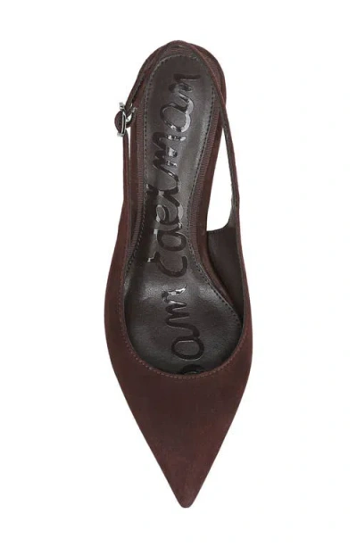 Sam Edelman Winfred Pointed Toe Slingback Sandal In Brown