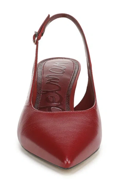 Sam Edelman Winfred Pointed Toe Slingback Sandal In Red