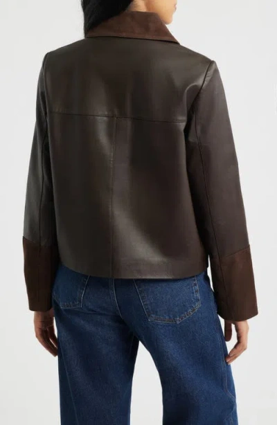 Bernardo Short Mixed Media Leather Jacket In Brown