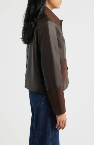 Bernardo Short Mixed Media Leather Jacket In Brown