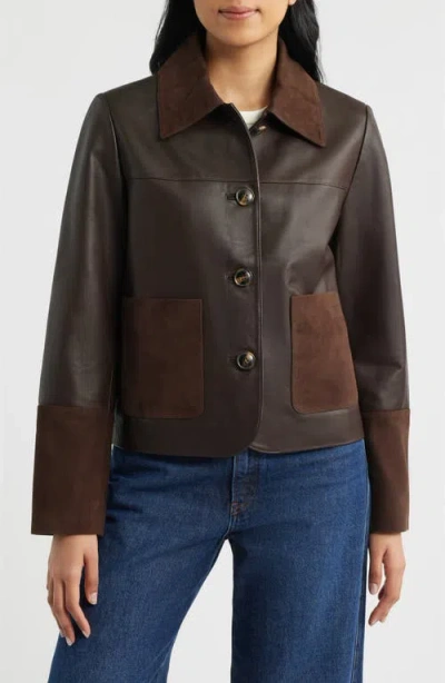 Bernardo Short Mixed Media Leather Jacket In Brown