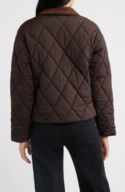 Sam Edelman Quilted Crop Jacket In Brown