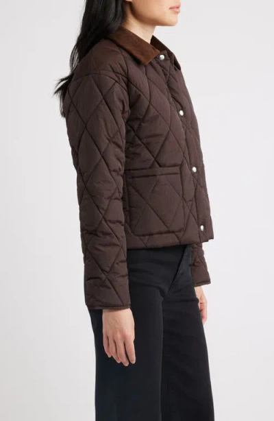 Sam Edelman Quilted Crop Jacket In Brown