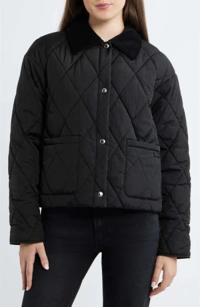 Sam Edelman Quilted Crop Jacket In Black