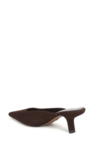 Sam Edelman Brandy Pointed Toe Mule In Brown