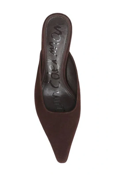 Sam Edelman Brandy Pointed Toe Mule In Brown