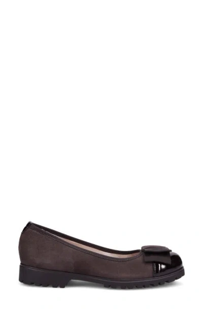 Ron White Ivale Bow Flat In Brown