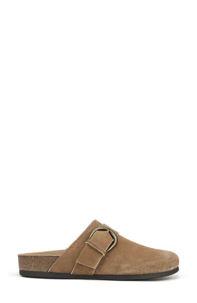 Sam Edelman Alyce Mule In Brown