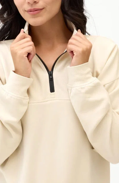 Threads 4 Thought Nyla Fleece Half Zip Pullover In Neutral