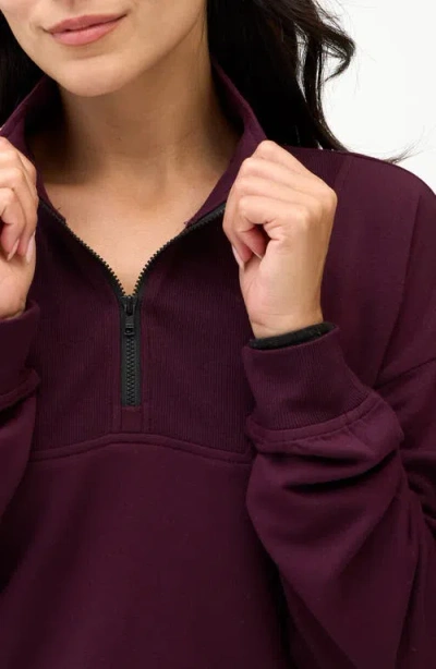 Threads 4 Thought Nyla Fleece Half Zip Pullover In Purple