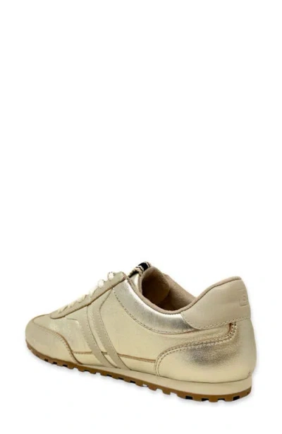 Shushop Sarah Sneaker In Multi