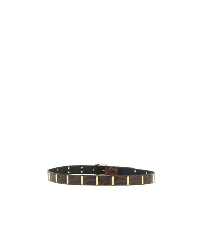 Pinko Python Print Belt Adjustable Gold Hardware In Gold