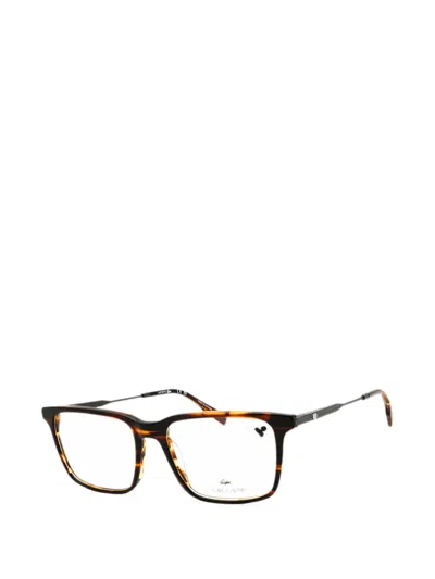 Lacoste Rectangle-frame Glasses In Brown