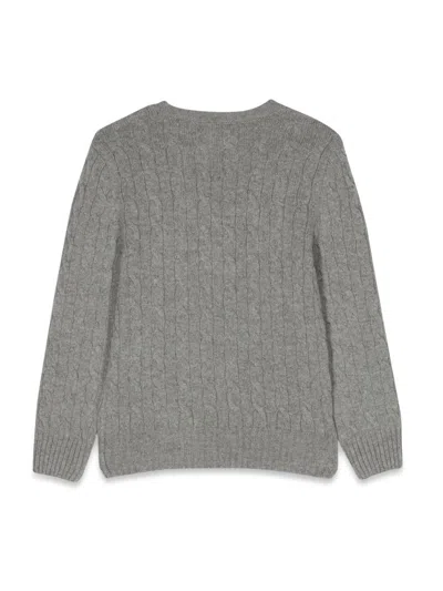 Polo Ralph Lauren Pull Roll In Gray