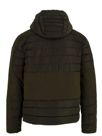 Bomboogie Coats In Brown