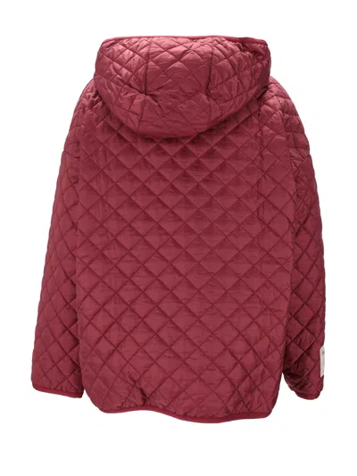 Max Mara The Cube Imbottito Corto In Red