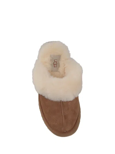 Ugg W Disquette In Brown