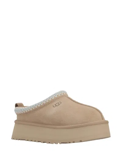 Ugg W Tazz Ii In Multi