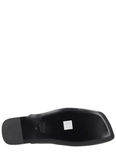 Chloé 克洛伊·萨伯特《丽塔》 In Black