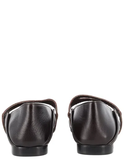 Alohas In Brown