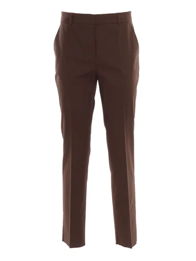 Max Mara Studio David 长裤 In Brown
