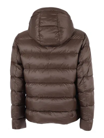 Fay Db Front Piuma Cappuccio In Brown