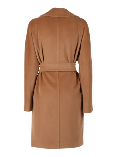 Max Mara Studio 卡波托·斯雷尔 In Brown