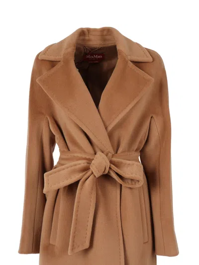 Max Mara Studio 卡波托·斯雷尔 In Brown