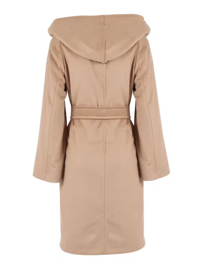 Max Mara Studio 卡波托·纽曼 In Brown