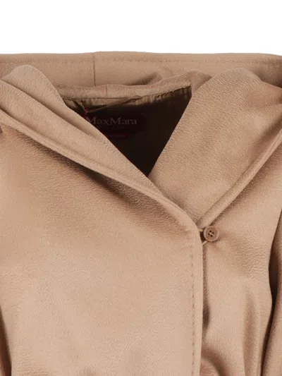 Max Mara Studio 卡波托·纽曼 In Brown