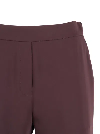 P.a.r.o.s.h . Pantalone In Brown