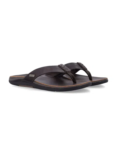 Reef 礁石平底鞋 In Brown