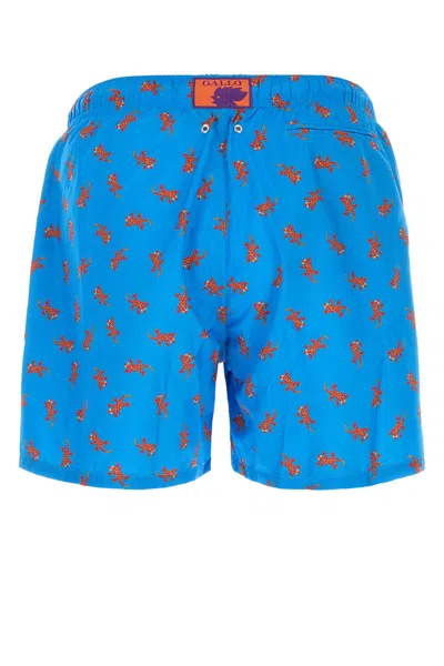 Gallo Costume In Multi