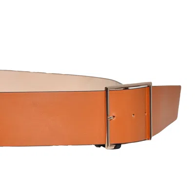 Max Mara Belts In Brown
