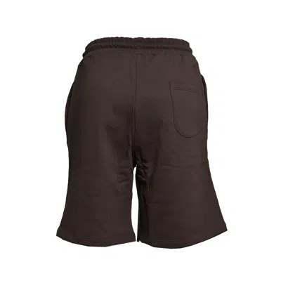 Msgm Shorts In Brown