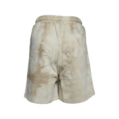 Msgm Shorts In Gray