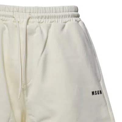 Msgm Shorts In Neutral