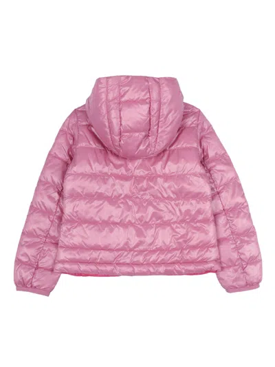 Blauer 布劳尔·因博蒂托·奥瓦塔·小卡罗尔 In Pink