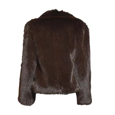 Msgm Coats In Brown