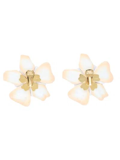 Chloé Pink Bloom Stud Earrings In Brown