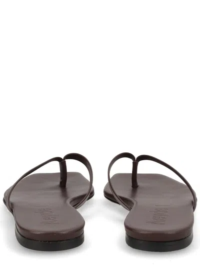 Aeyde 艾德·桑德罗“蕾妮” In Brown