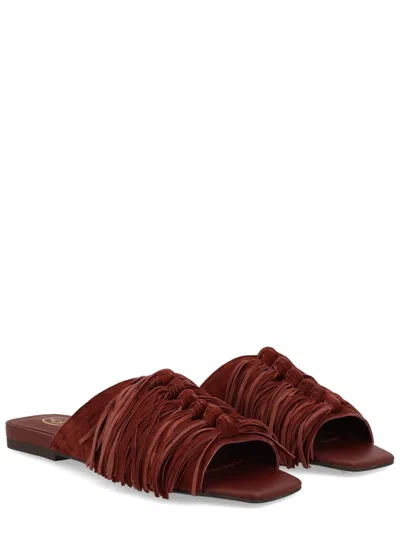 Ash 阿什骡子“布丽吉特” In Brown