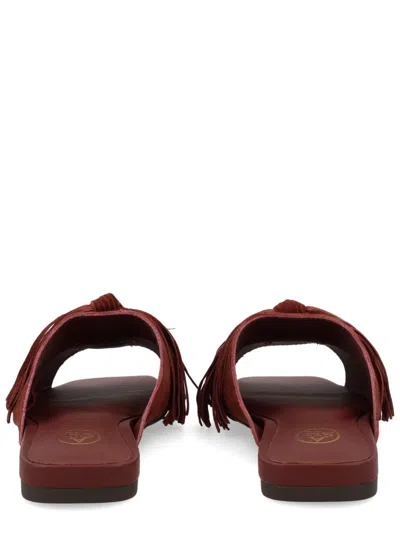 Ash 阿什骡子“布丽吉特” In Brown