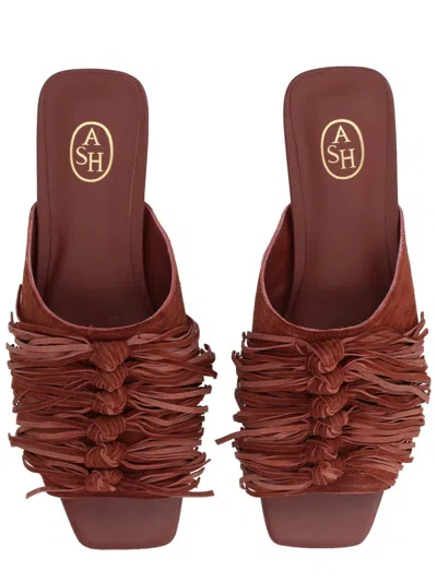 Ash 阿什骡子“布丽吉特” In Brown