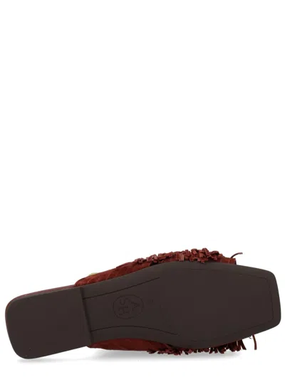 Ash 阿什骡子“布丽吉特” In Brown
