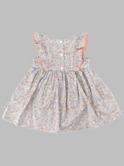 Wheat Dress Suit Sofia In Multi