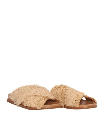 Michael Kors Peyton Flat Sandal In Pink